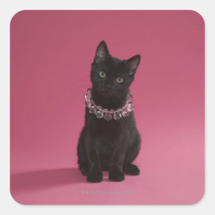 Black kitten wearing jeweled necklace square sticker