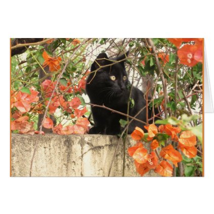 Black Kitten with Orange Flowers Card