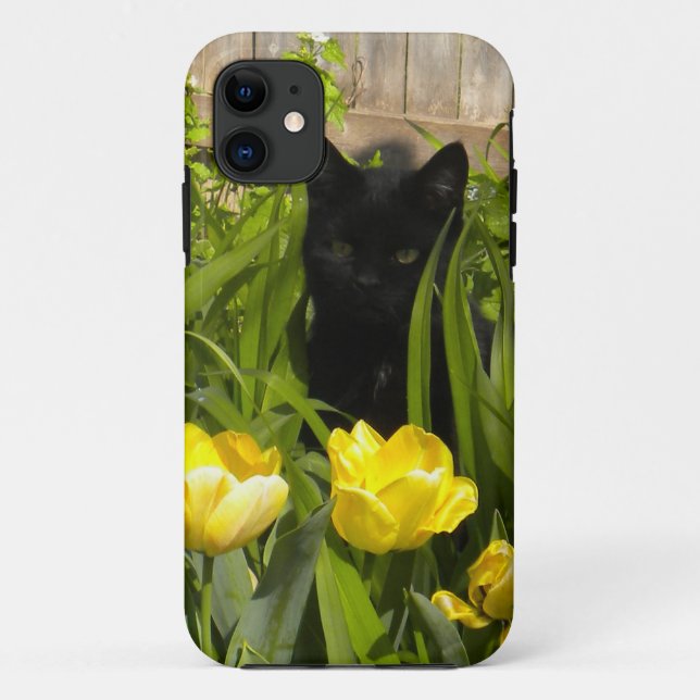 Black Kitten, Yellow Tulips. iPhone 5 case (Back)