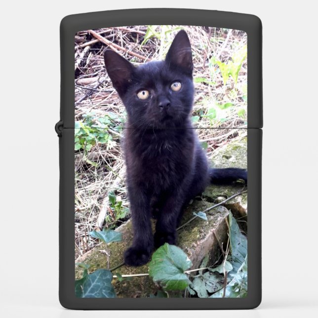 Black Kitten Zippo Lighter (Front)