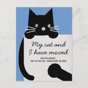 Black Kitty Cat Blue Moving Announcement Postcard