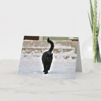 Black Kitty Cat Cute Customizable Card