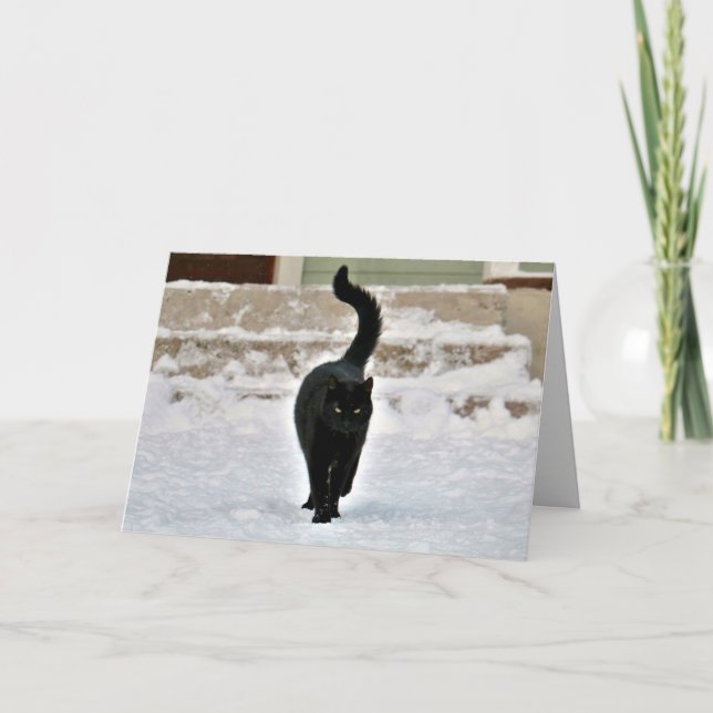 Black Kitty Cat Cute Customizable Card (Front)