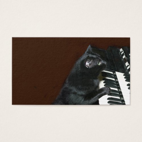 Black kitty cat play the organ business card