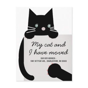 Black Kitty Cat White Moving Announcement Postcard