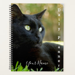 Black Kitty - Daily Planner- HAMbWG Planner