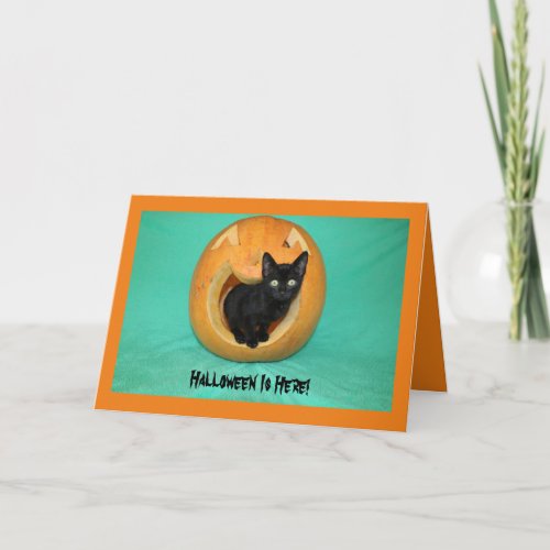 Black Kitty in Pumpkin Halloween Greeting Card