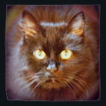 black kittycat bandana<br><div class="desc">pussycat</div>