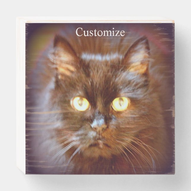 Black kittycat Thunder_Cove  Wooden Box Sign (Front Horizontal)