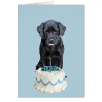 Black lab best sale birthday cake