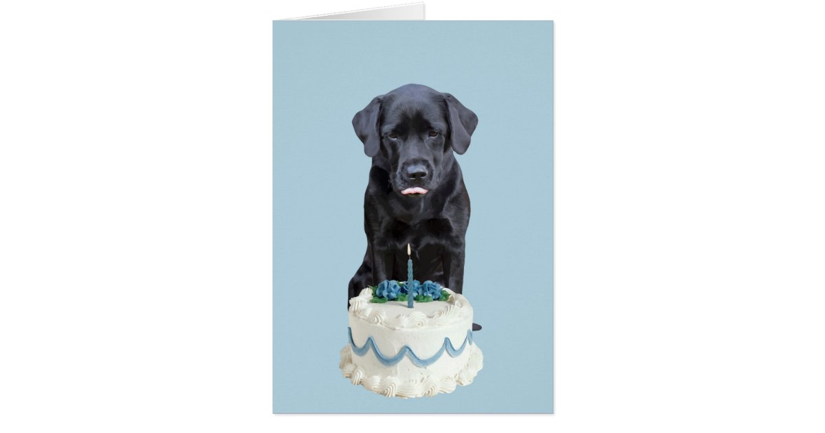 lab dog birthday images