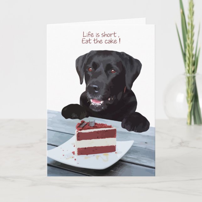 Black Lab All Occasion Card - Dog Cake Birthday (Front)