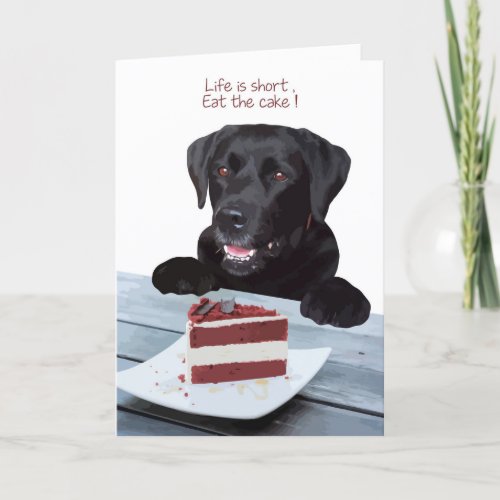 Black Lab All Occasion Card _ Dog Cake Birthday