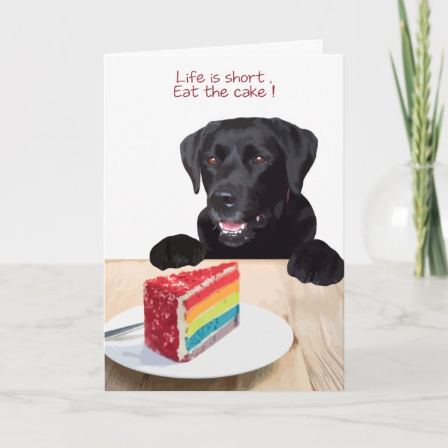 Black Lab All Occasion Card - Dog Cake Birthday (Front)
