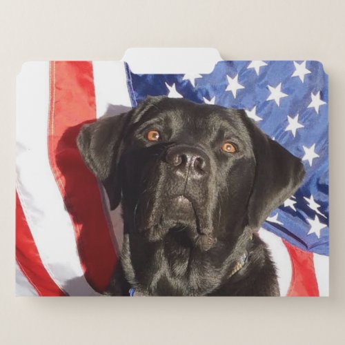 Black Lab and Flag File Folder