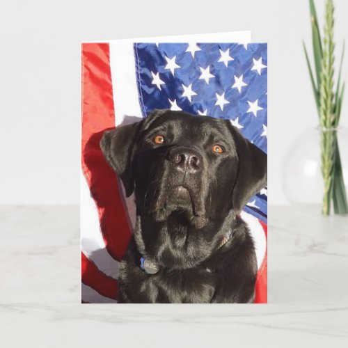 Black Lab and Flag Greeting Card