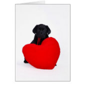Black lab and heart (Front)