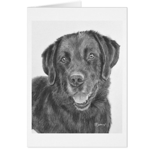 Black Lab Bandit Cards (Front)