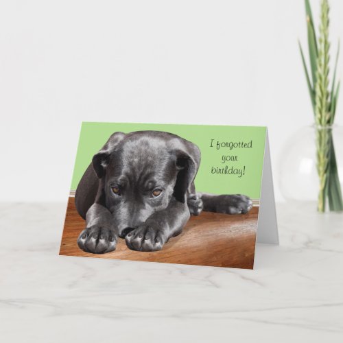 Black Lab Belated Birthday Card