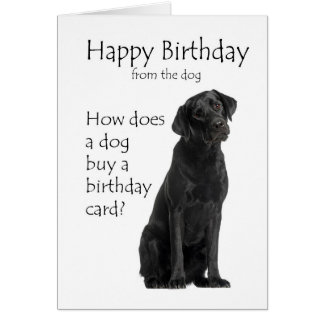 Black Labrador Birthday Cards | Zazzle