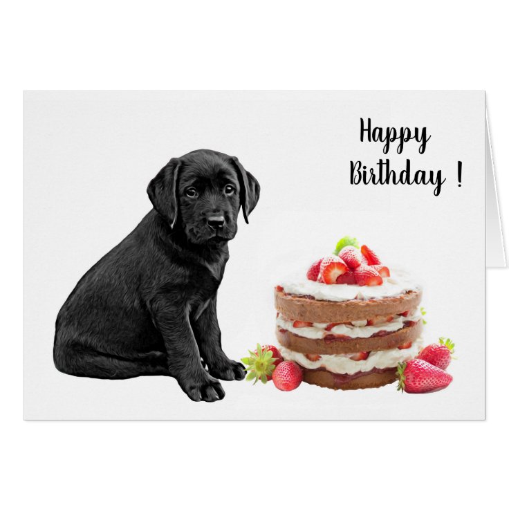 Black Lab Birthday Card - Dog Cake Birthday | Zazzle