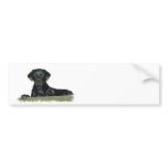 Black Lab Bumper Sticker