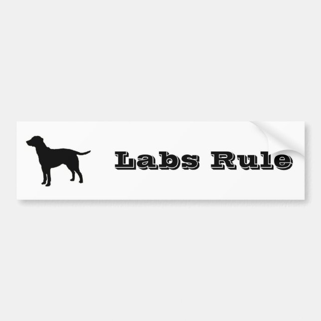 Black Lab Bumper Sticker 1 (Front)