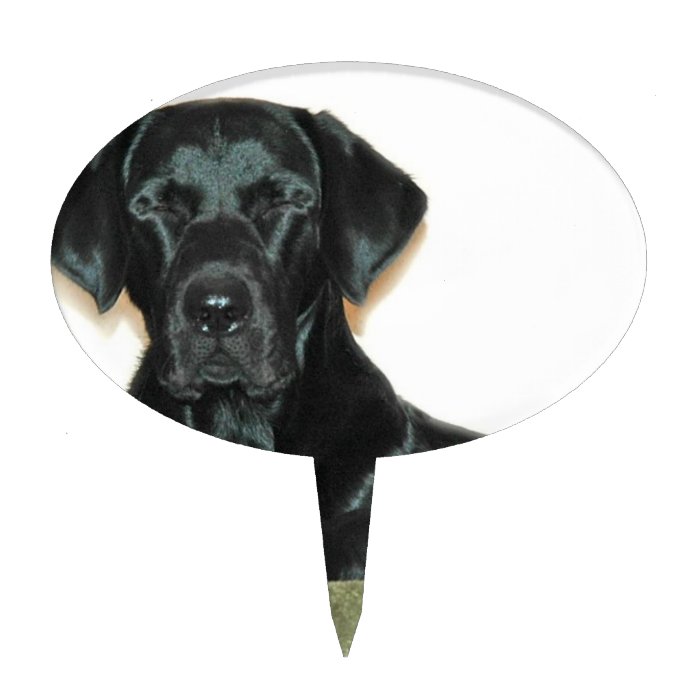 Black Lab Cake Topper