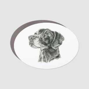Black Lab Car Magnet