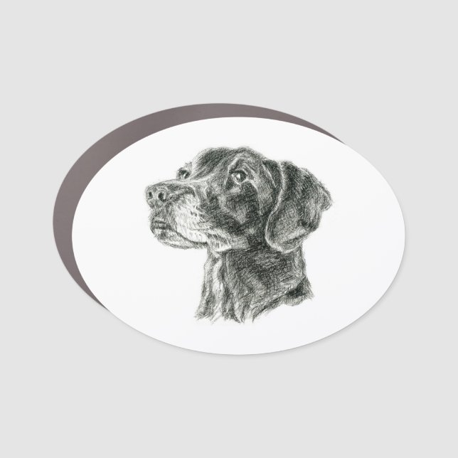 Black Lab Car Magnet (Front)