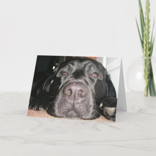 Black Lab Card