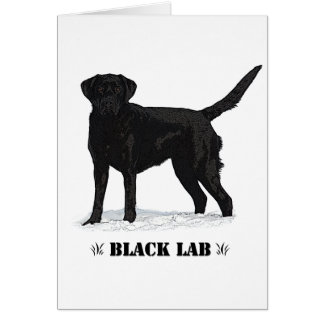 Black Lab Cards