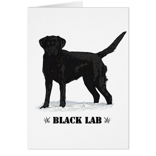 Black Lab Cards (Front)