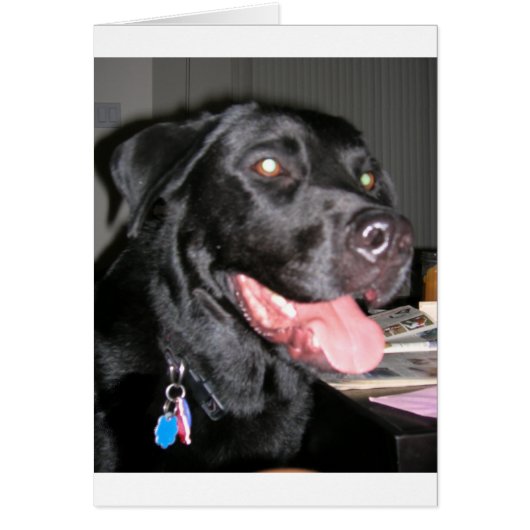 black lab cards (Front)