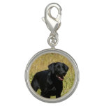 Black Lab Charm