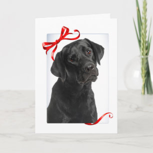 Black Lab Christmas Card