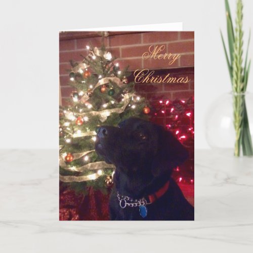 Black Lab Christmas Card