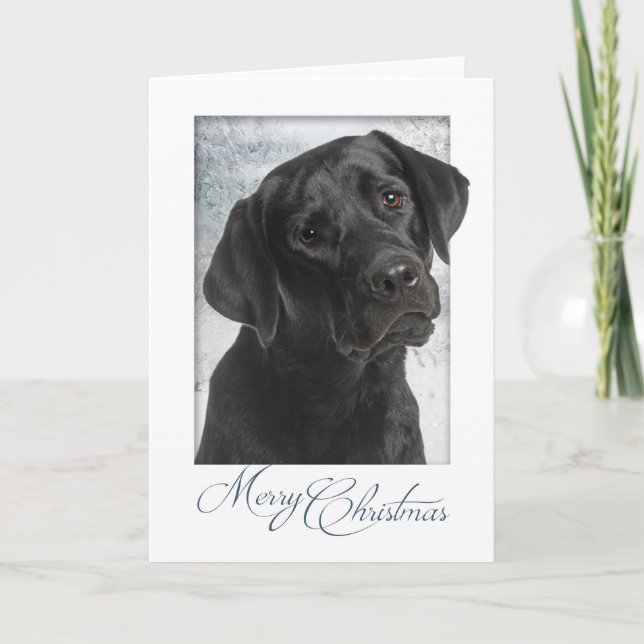 Black Lab Christmas Card (Front)