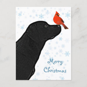 Black Lab Christmas Cardinal - Cute Labrador Dog Holiday Postcard