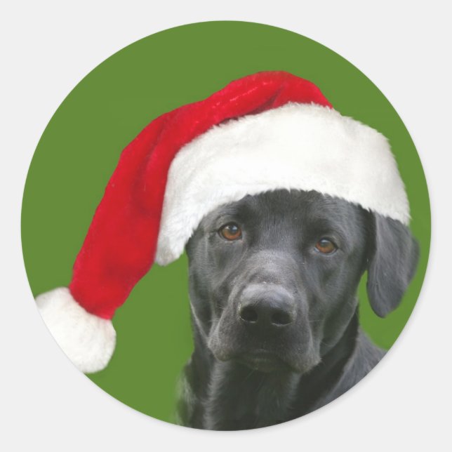 Black lab Christmas Classic Round Sticker (Front)