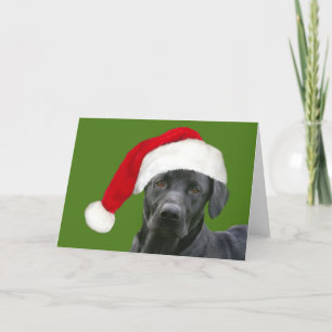 Black lab Christmas Holiday Card