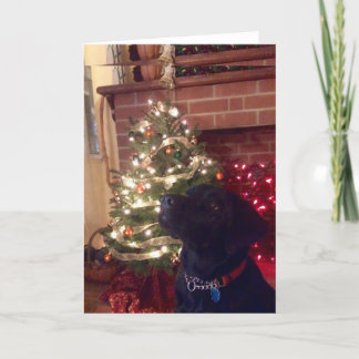 Black Lab Christmas Holiday Card