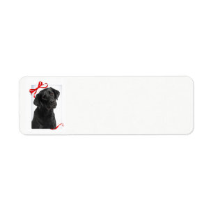 Black Lab Christmas Return Address Labels