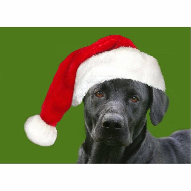 Black lab Christmas Statuette (Front)