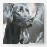 Black Lab Clock