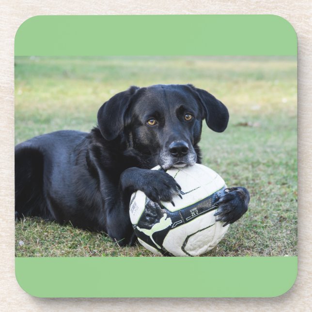 Black lab coasters.  Set of six. Beverage Coaster (Front)