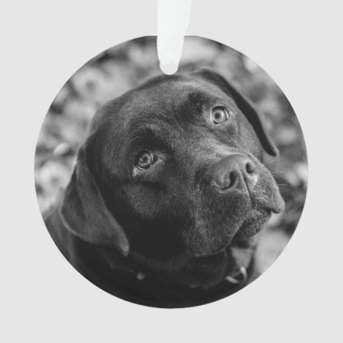 Black Lab customizable Christmas Ornament