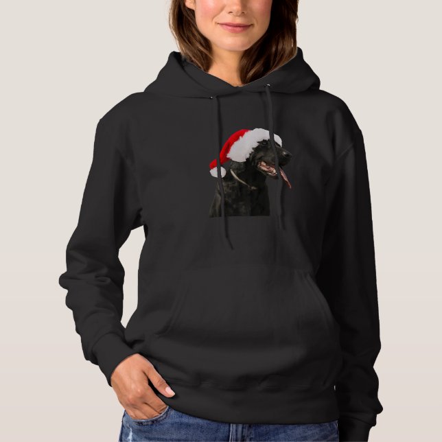Black Lab Cute Dog Santa Hat Christmas Labrador Re Hoodie (Front)