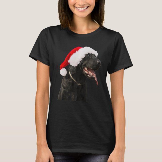 Black Lab Cute Dog Santa Hat Christmas Labrador Re T-Shirt (Front)
