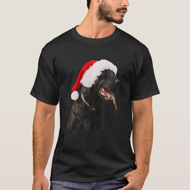 Black Lab Cute Dog Santa Hat Christmas Labrador Re T-Shirt (Front)